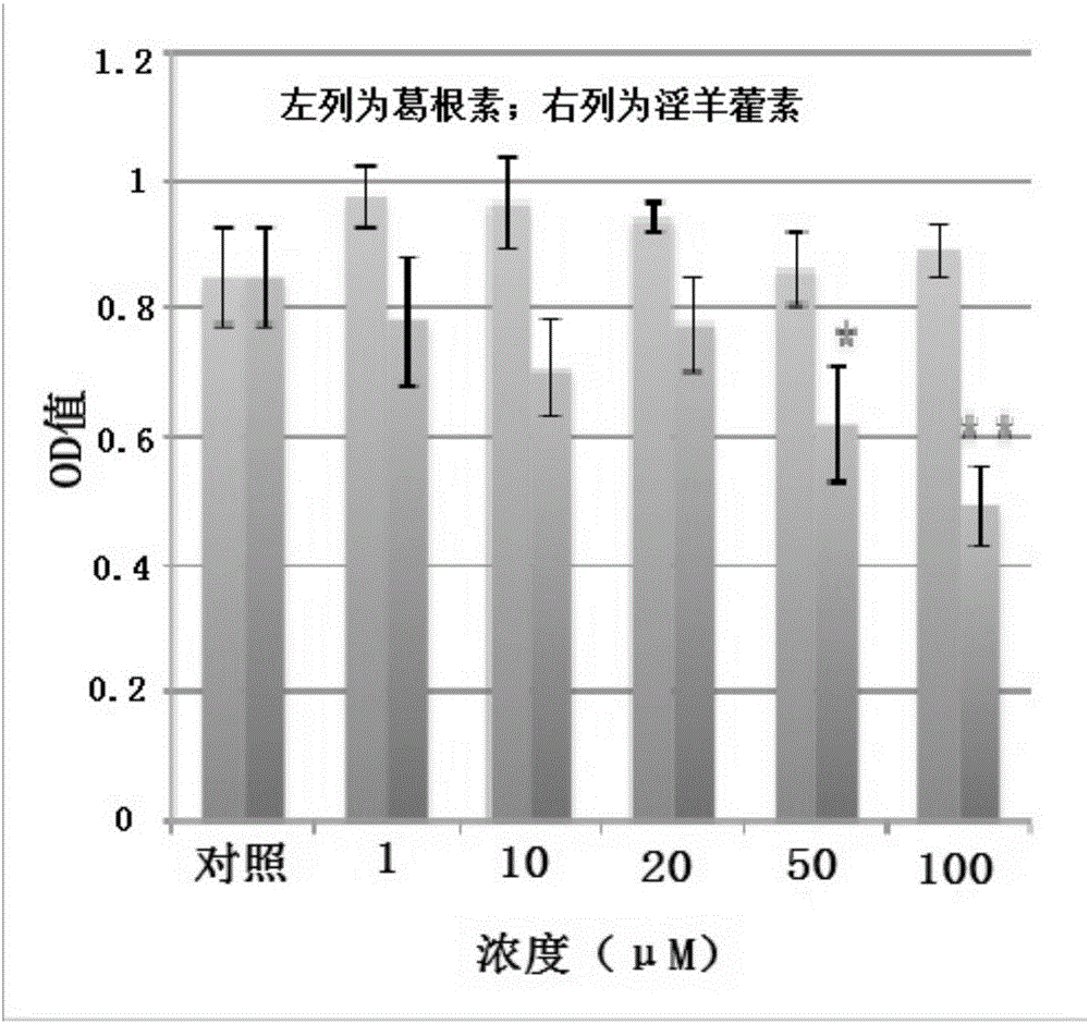 Biocomposite and preparation method thereof