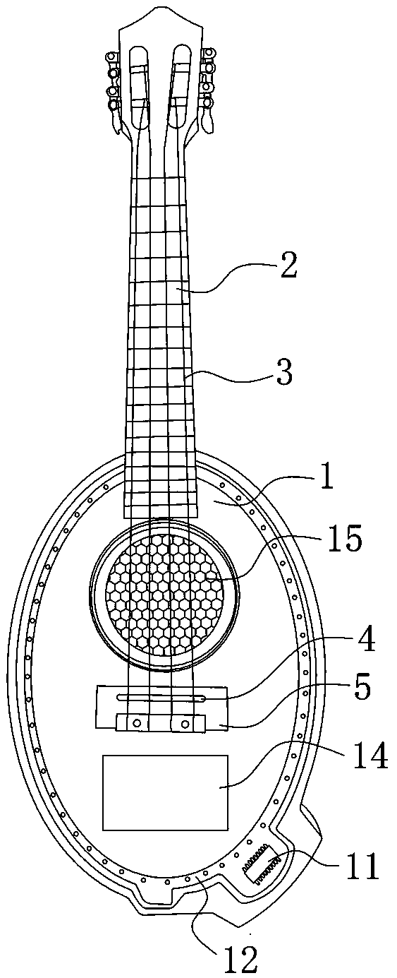 Multifunctional guitar