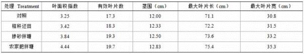 A Tobacco Field Soil Improvement Method Effectively Improving Tobacco Leaf Quality