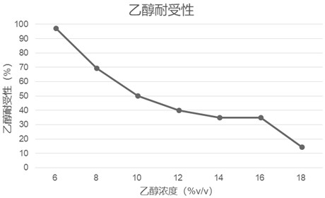 Saccharomyces cerevisiae and bacterial agents and their application in the preparation of fermented products, especially in winemaking in the Huaizhuo Basin