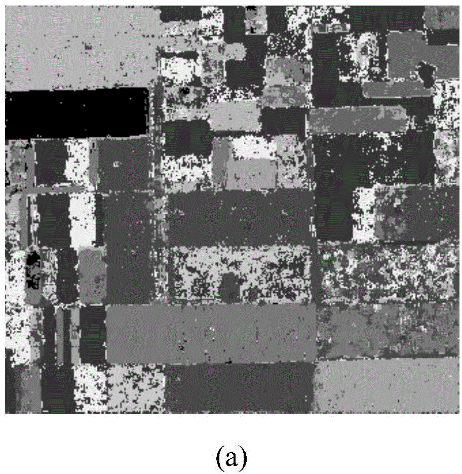 Polarized SAR image classification method on basis of SAE and IDL