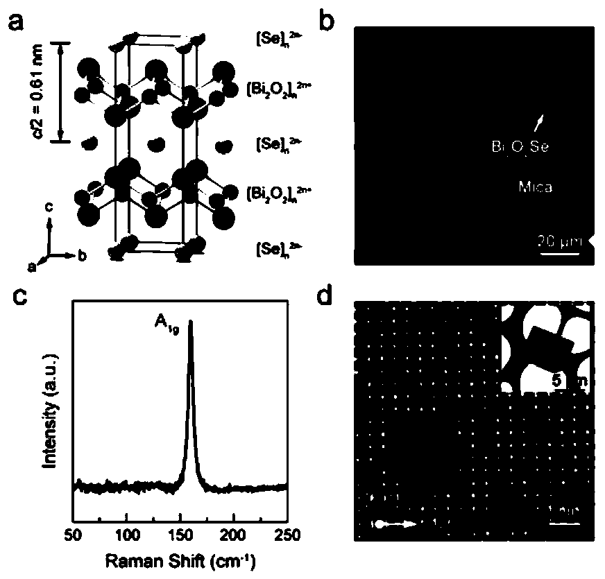 Bolometer based on two-dimensional bismuth-oxygen-selenium film and preparation method of bolometer