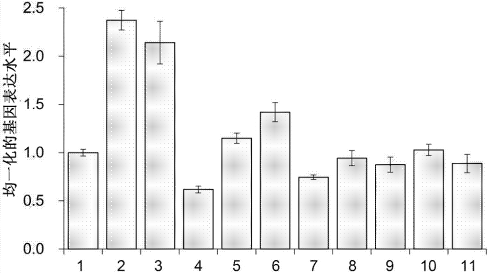 Pathogenicity gene MoSNT2 from magnaporthe oryzae and application thereof