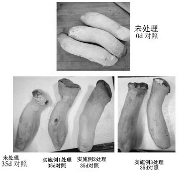 A kind of deoxygenation preservation method of king oyster mushroom