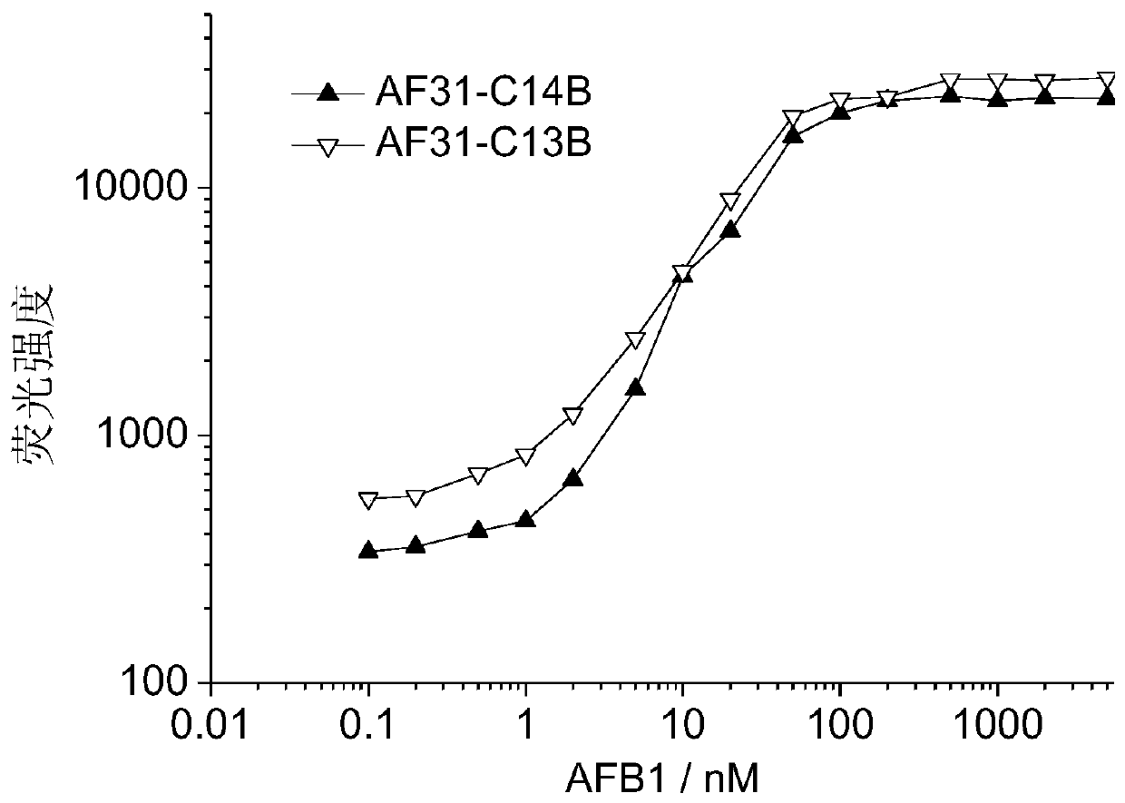 Aptamer molecule pair, kit and detection method for detecting aflatoxin b1