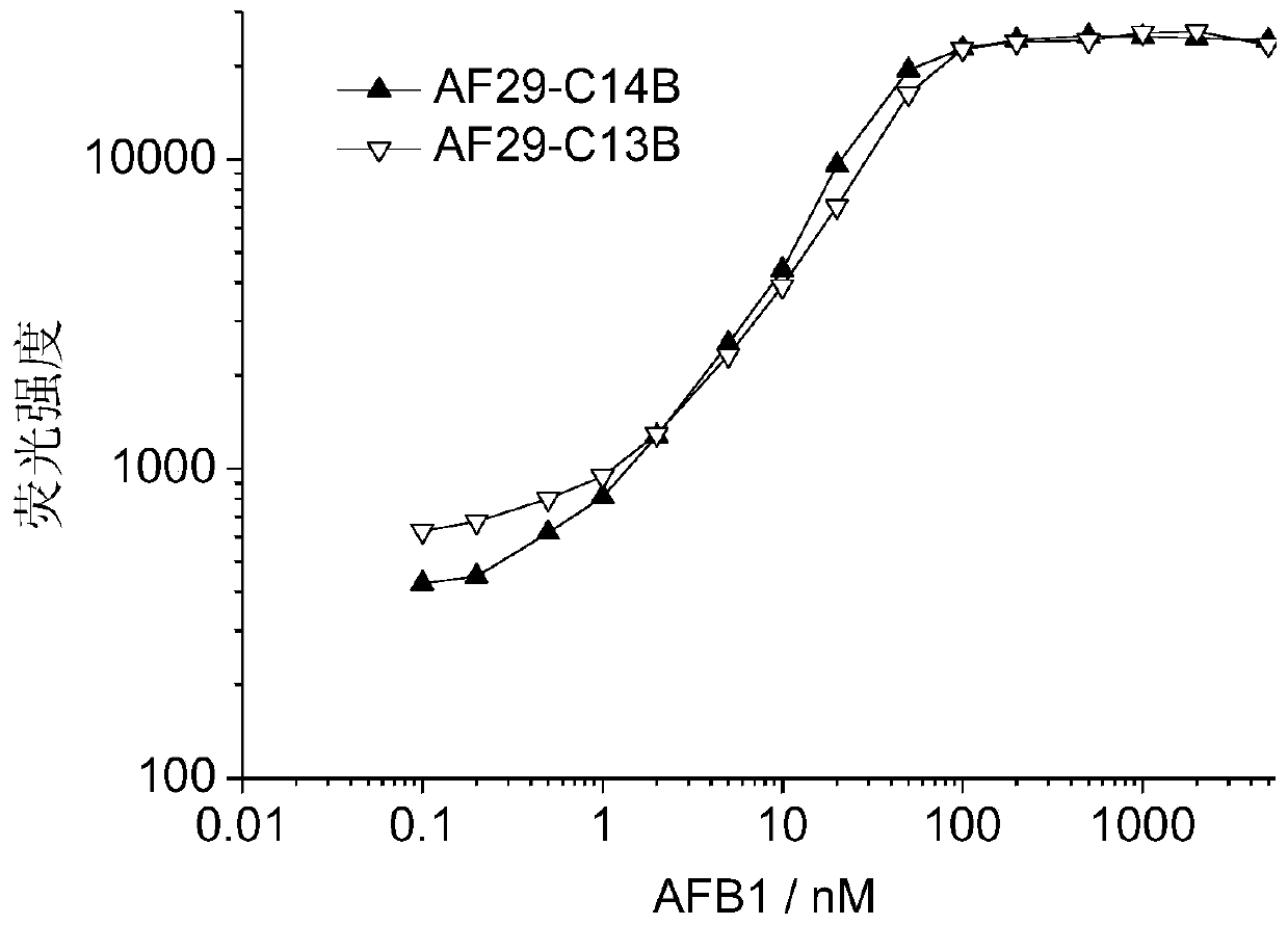 Aptamer molecule pair, kit and detection method for detecting aflatoxin b1