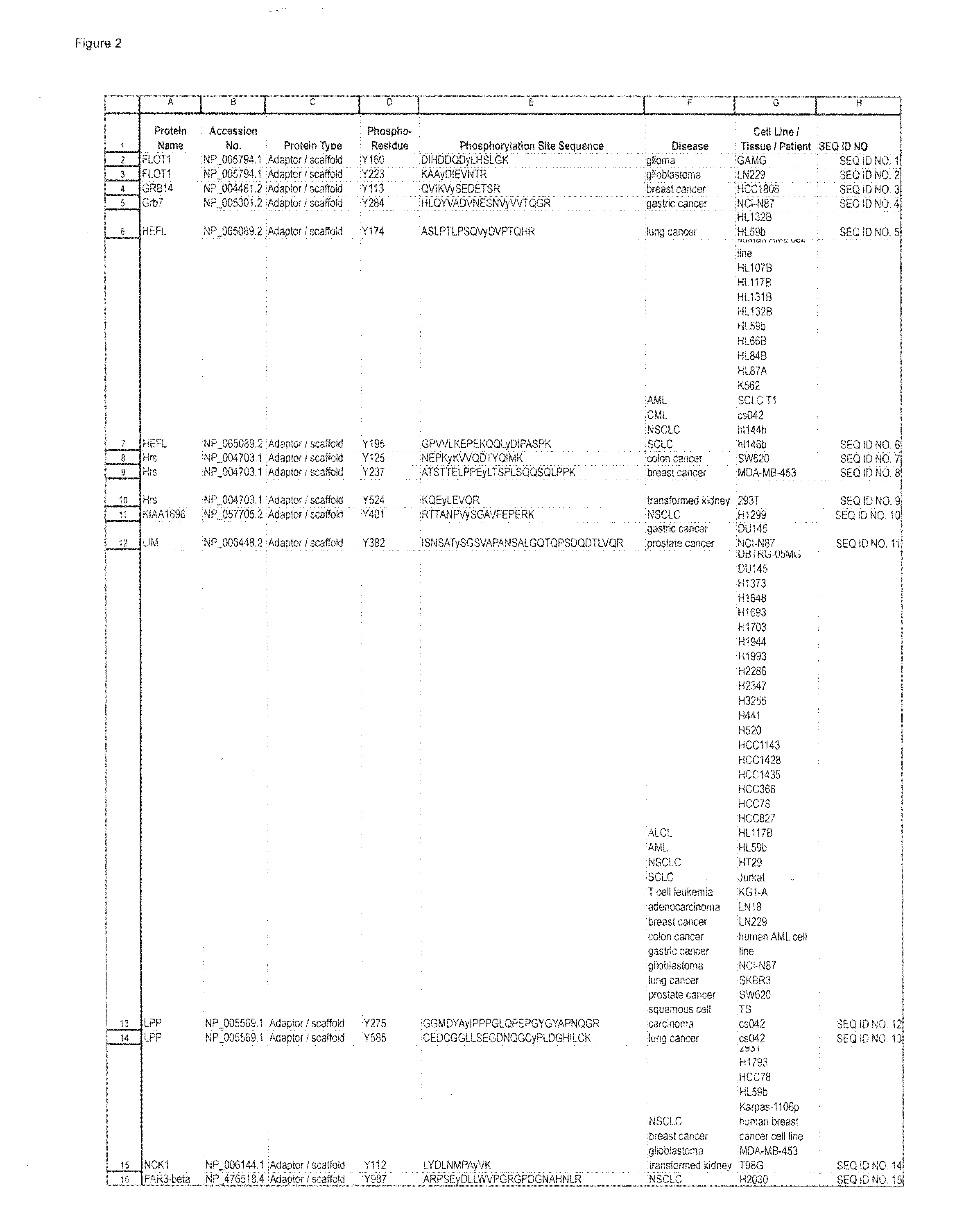 Tyrosine Phosphorylation Sites