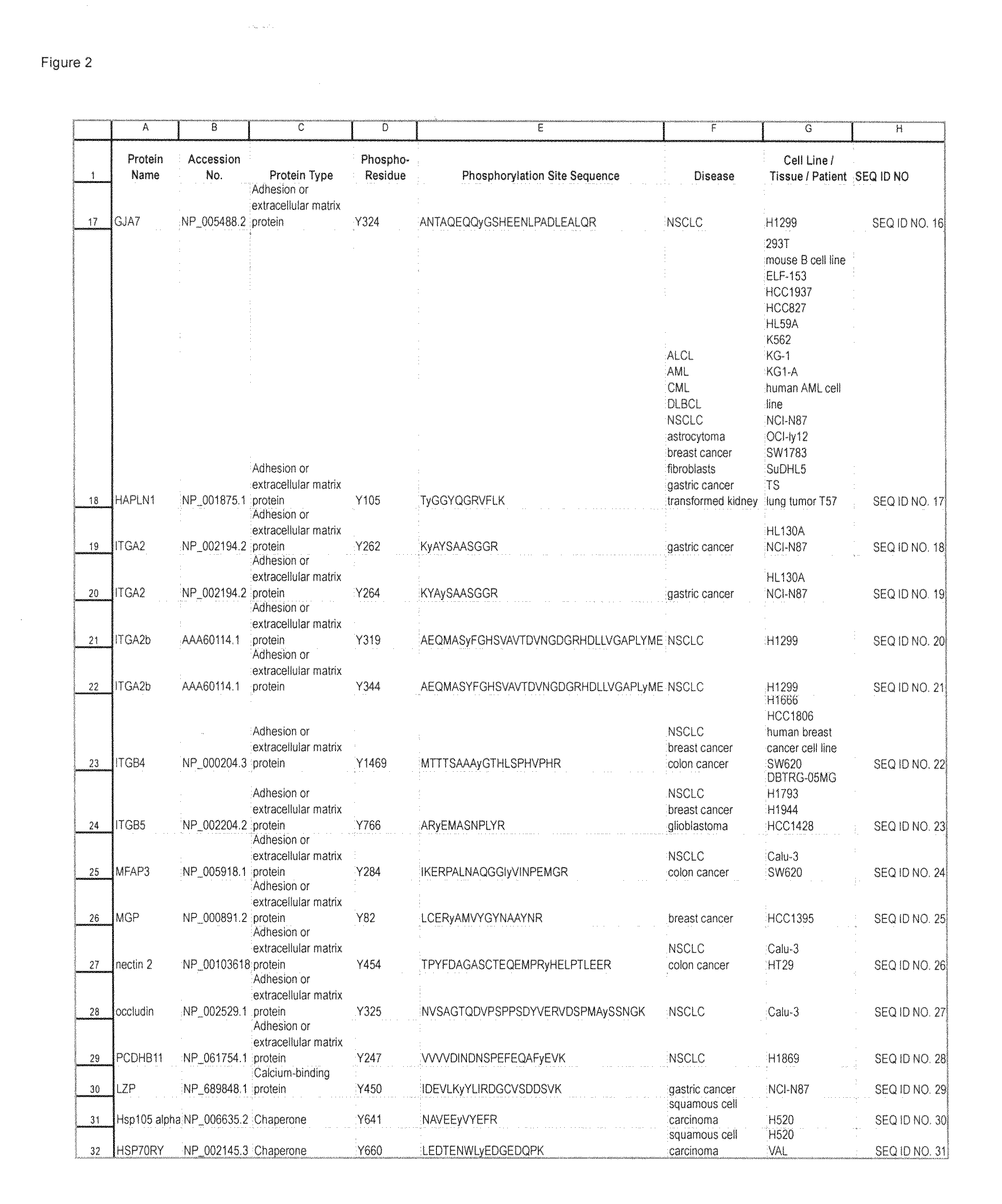 Tyrosine Phosphorylation Sites