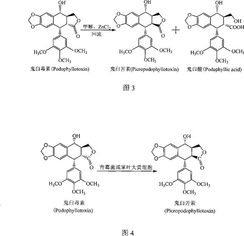 Method for converting podophyllinic acid lactone into podophyllic acid and picropodophyllin