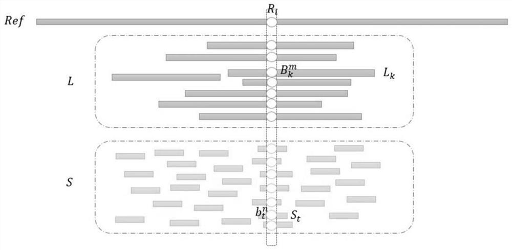 Hybrid methods for correcting sequencing errors in third-generation sequencing data under heterozygous variation