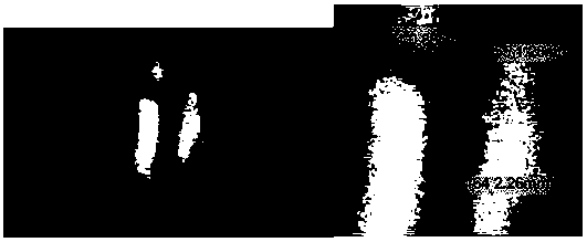 Hand back vena model for near-infrared hand back subcutaneous vena depth measurement and measuring method thereof