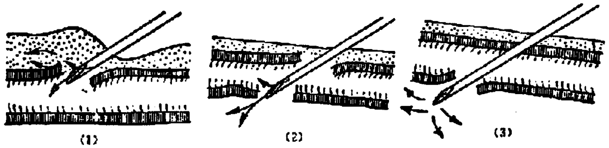 Hand back vena model for near-infrared hand back subcutaneous vena depth measurement and measuring method thereof