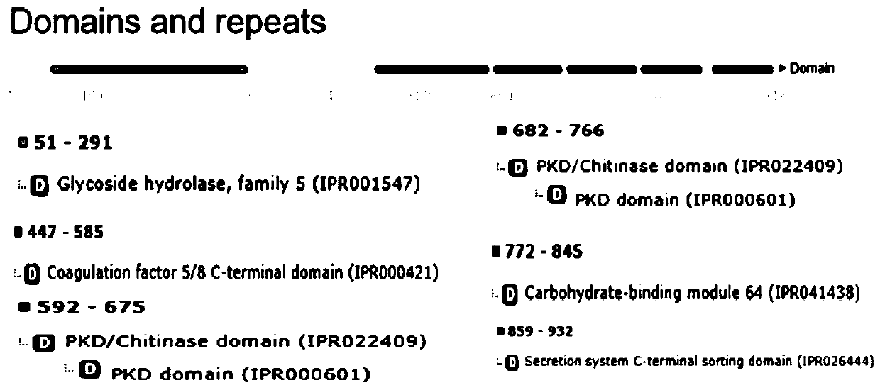 Endo-beta-manna hydrolase Man01929 and method for mutating endo-beta-manna hydrolase Man01929 into glycosyl transferase and application of endo-beta-manna hydrolase Man01929