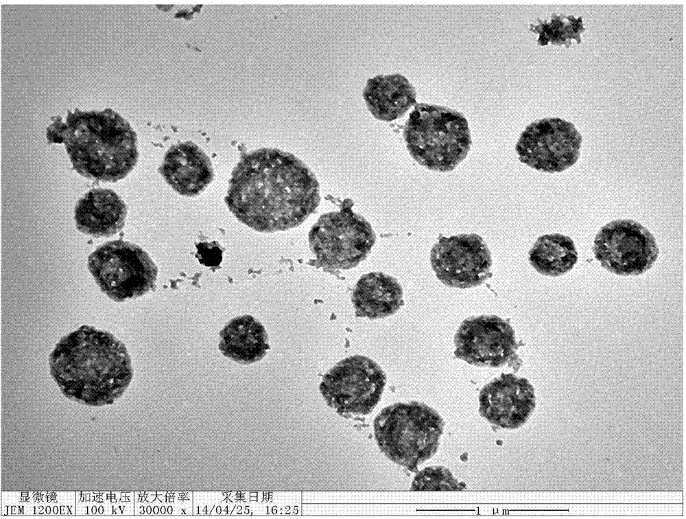 Double-functional nano-composite spheres based on metal ion-inducing polypeptide self-assembly and preparation method thereof