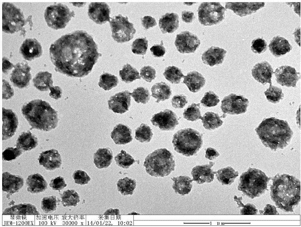 Double-functional nano-composite spheres based on metal ion-inducing polypeptide self-assembly and preparation method thereof