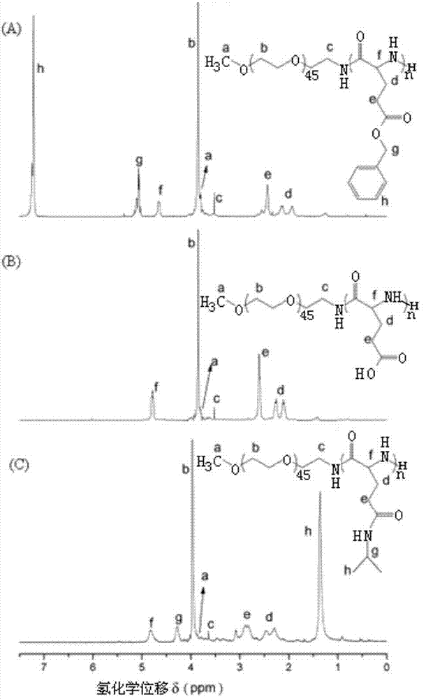 Polyglutamic acid derivative as well as hydrogel and preparation method of polyglutamic acid derivative