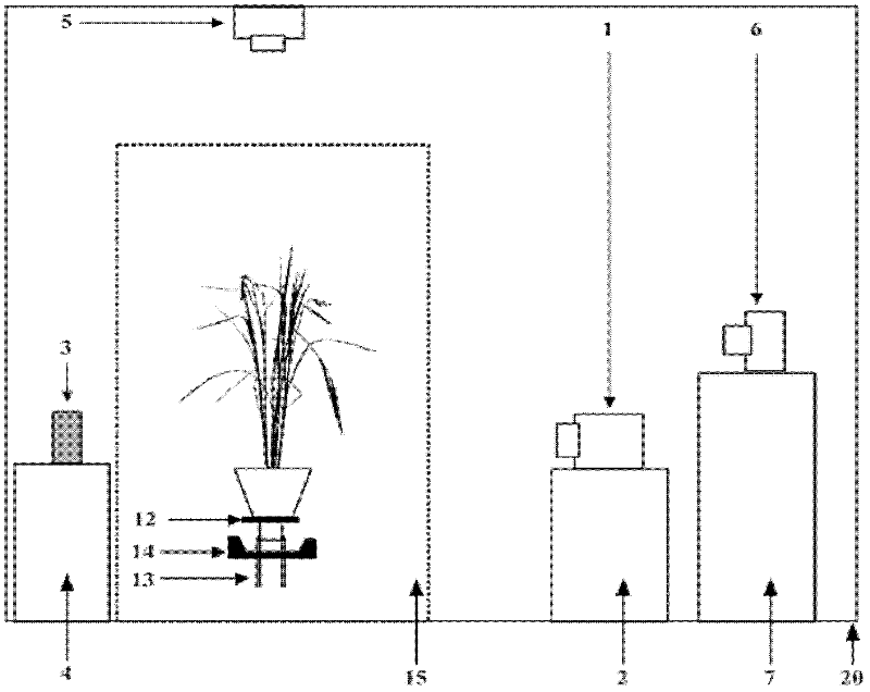 Fully-automatic nondestructive measurement system and measurement method for phenotype parameters of potted rice