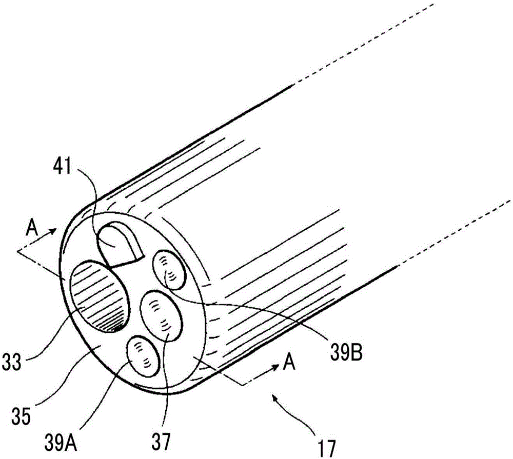 Endoscopic imaging device