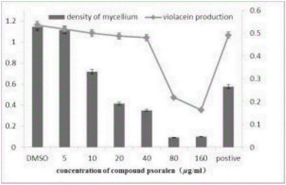 Novel bacterial QS (quorum sensing) inhibitors and antibacterial application thereof