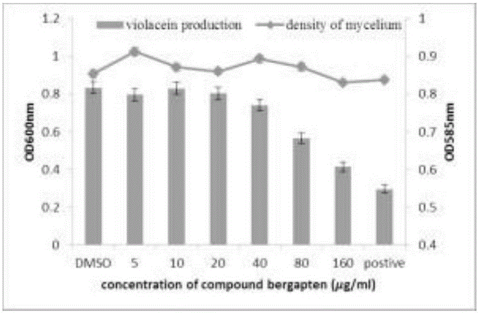 Novel bacterial QS (quorum sensing) inhibitors and antibacterial application thereof