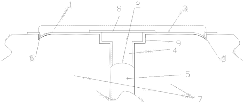 Water-seal structure with expansion joint and spraying and filling construction method for forming same
