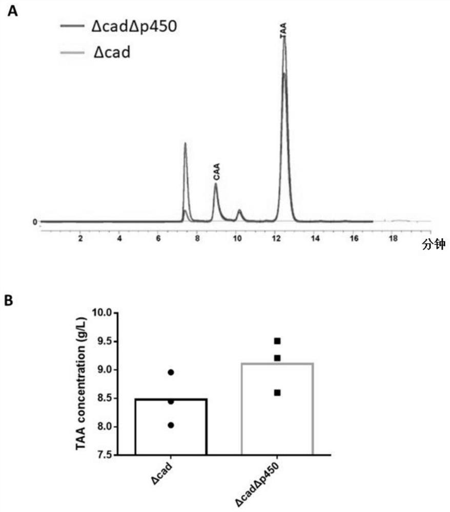 Genetically engineered bacterium with high yield of trans-aconitic acid as well as construction method and application of genetically engineered bacterium