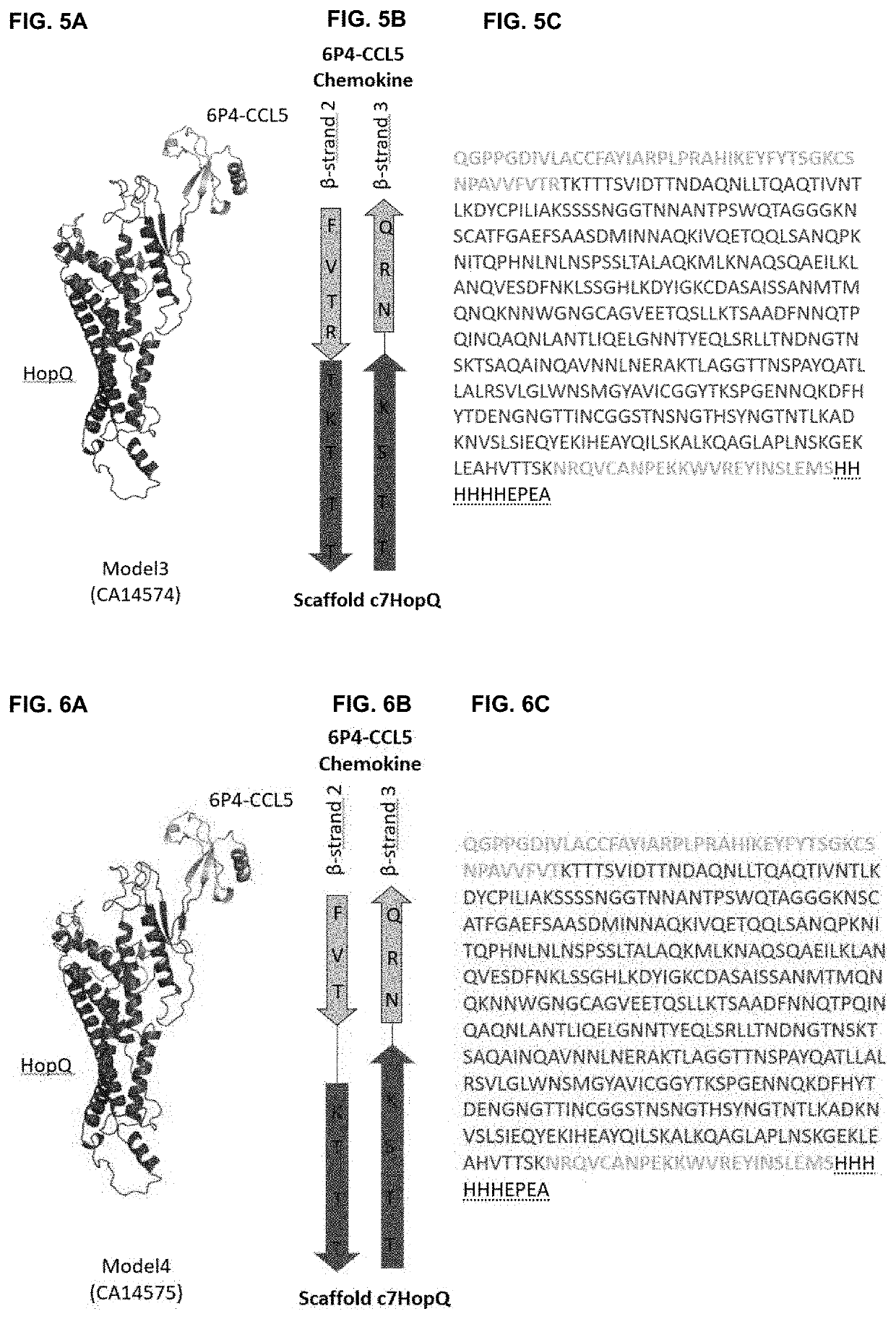 Fusion proteins comprising a cytokine and scaffold protein