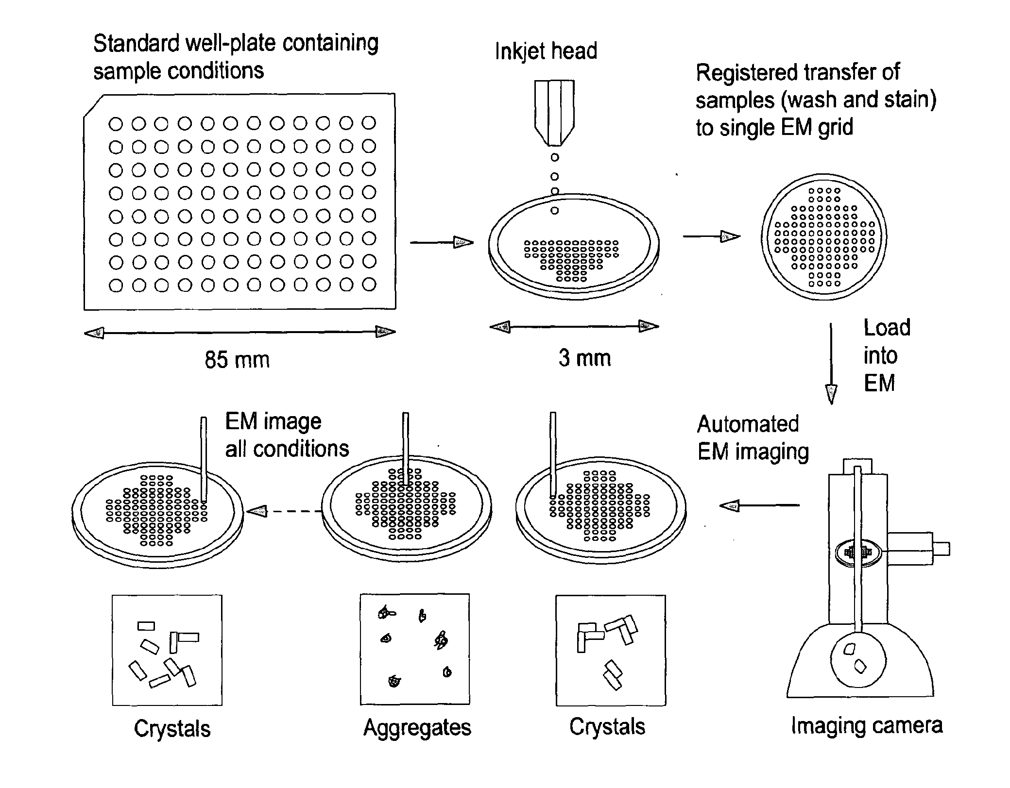 Preparation of Specimen Arrays on an EM Grid