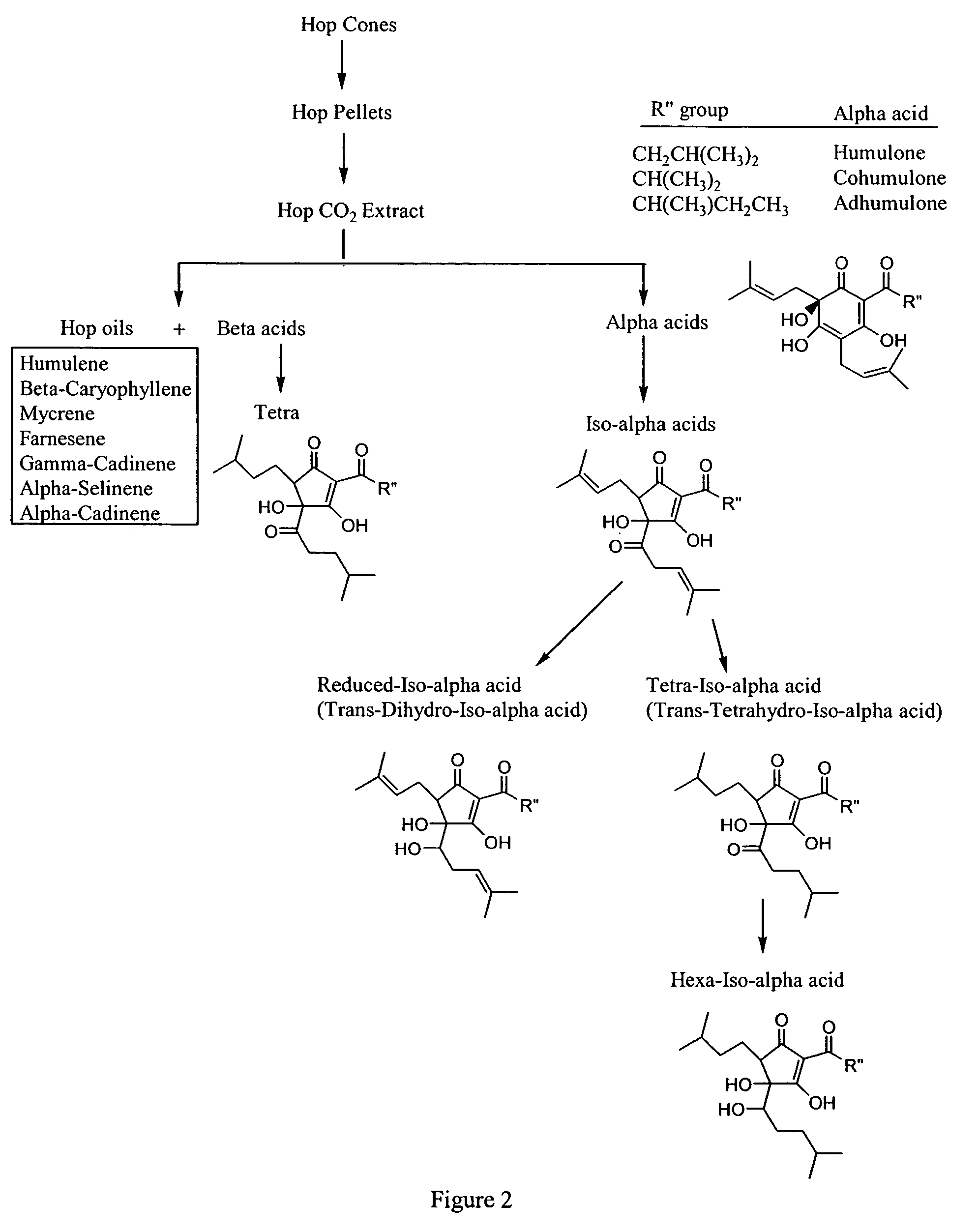 Anti-inflammatory pharmaceutical compositions for reducing inflammation and the treatment or prevention of gastric toxicity