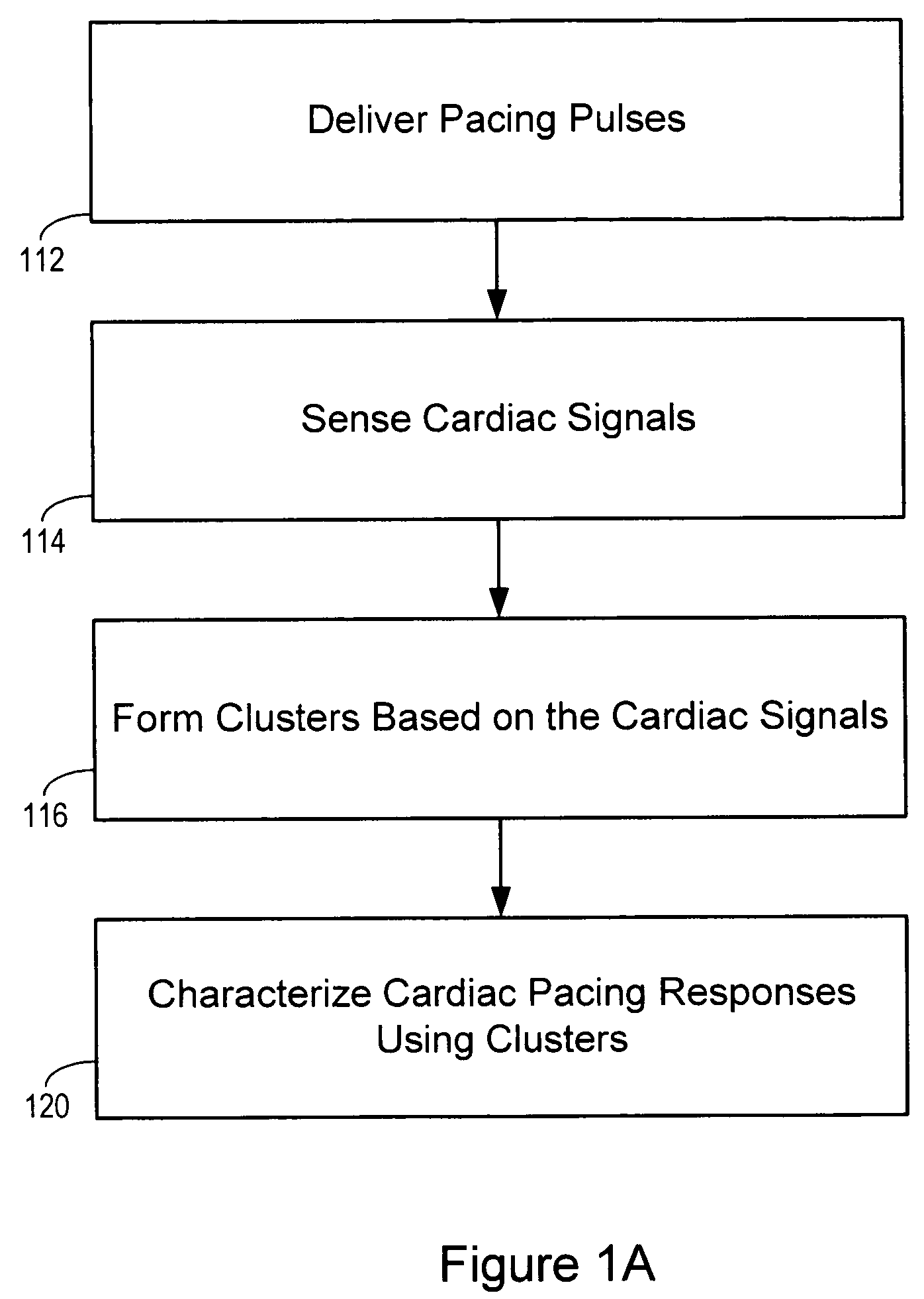 Cardiac signal template generation using waveform clustering