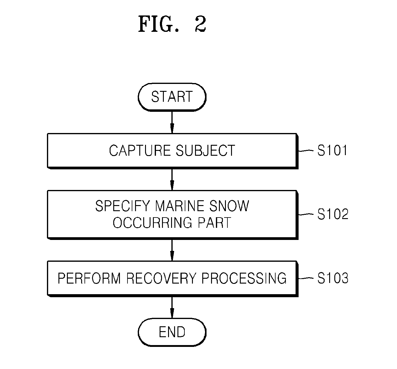 Photographing apparatus and photographing method