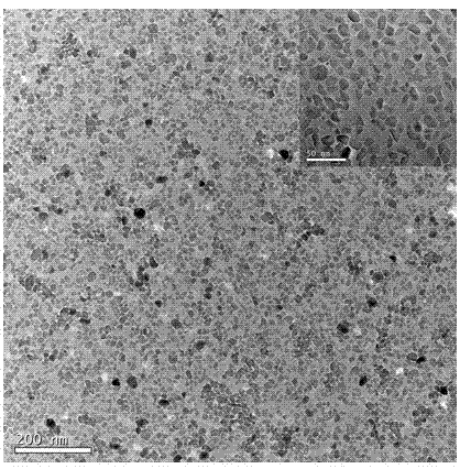 Method for preparing completely dispersed alpha aluminum oxide nano particles