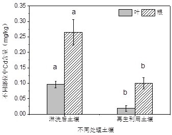 A method for safe regeneration and utilization of heavy metal contaminated soil after chemical leaching and remediation