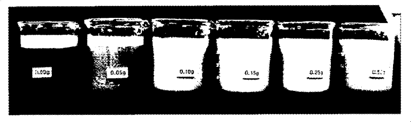 Low protein and protein-free extended shelf life (esl) and shelf-stable aseptic liquid creamers and process of making thereof