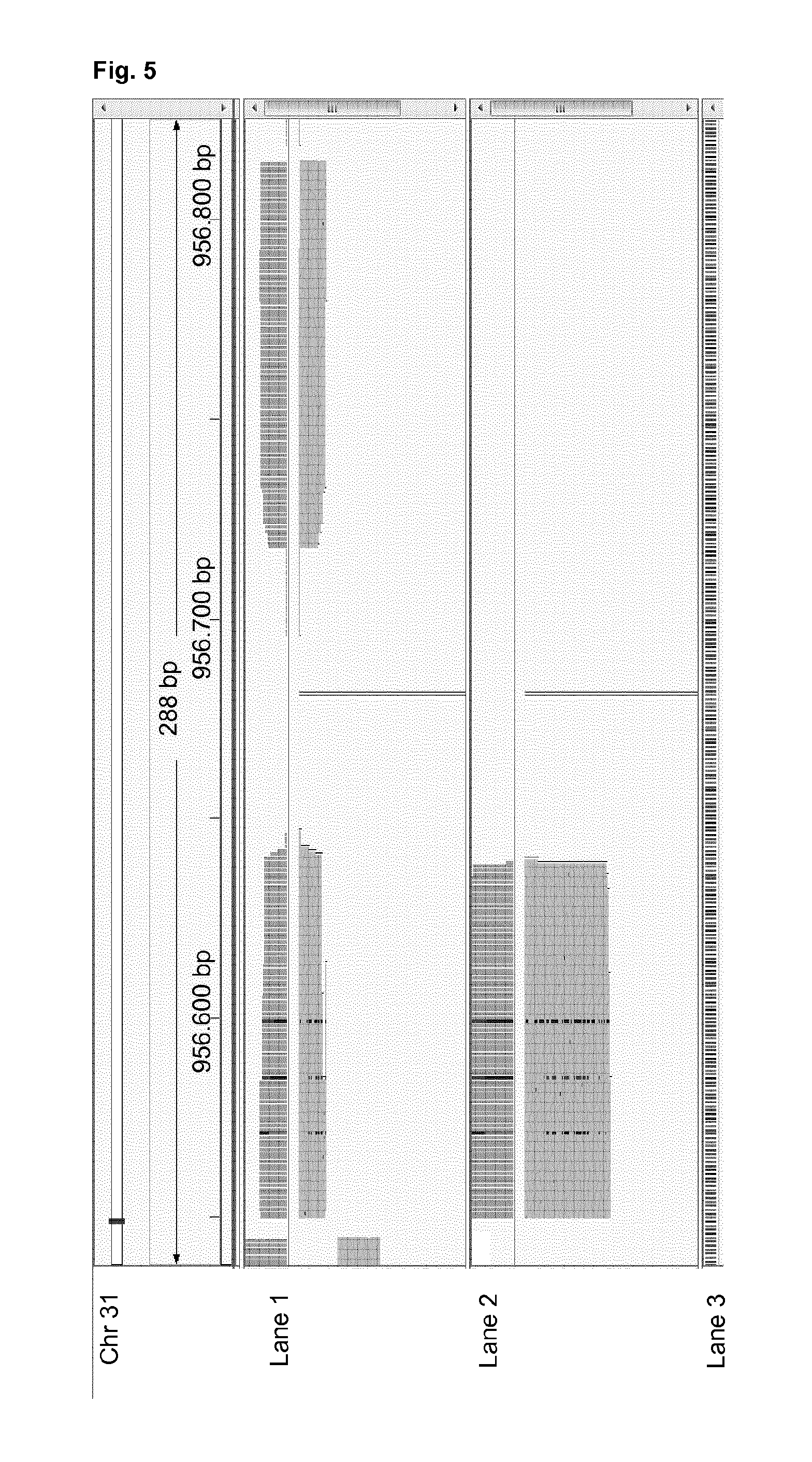 High-throughput genotyping by sequencing low amounts of genetic material