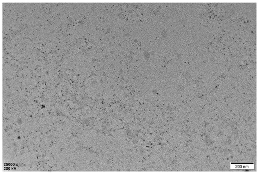 Ferroptosis-inducing nano-composite, preparation method and application of ferroptosis-inducing nano-composite in tumor treatment