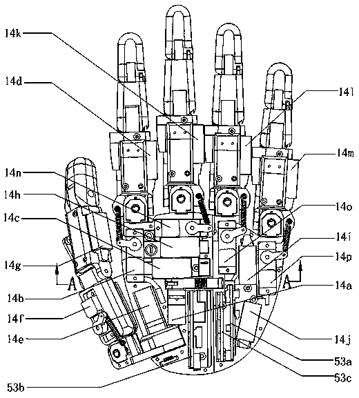 Multi-freedom-degree flexible mechanical hand with mechanical flexibility