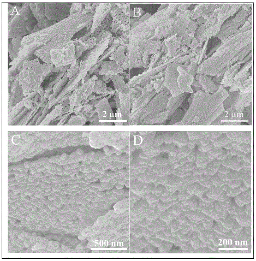 Preparation method of porous Bi2WO6 nanosheet photocatalytic material