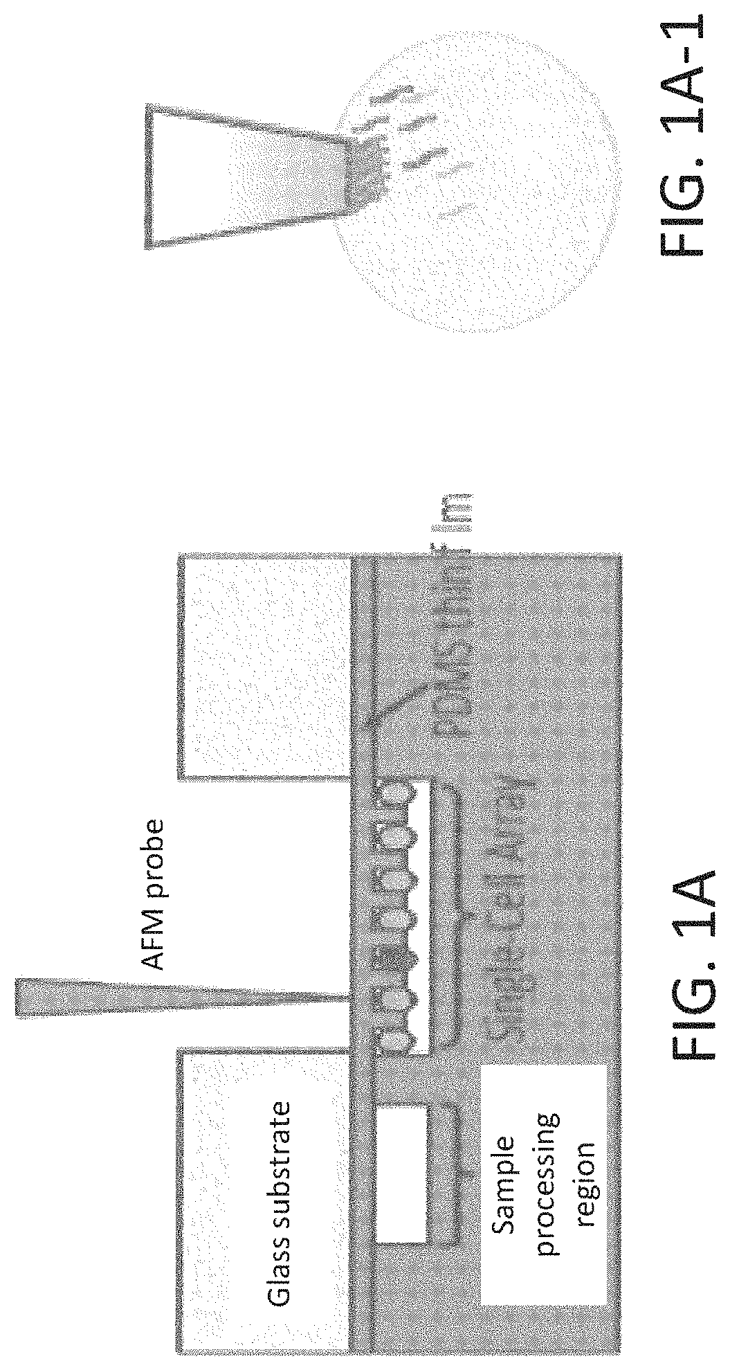 Integrated microfluidic platform for selective extraction of single-cell mRNA