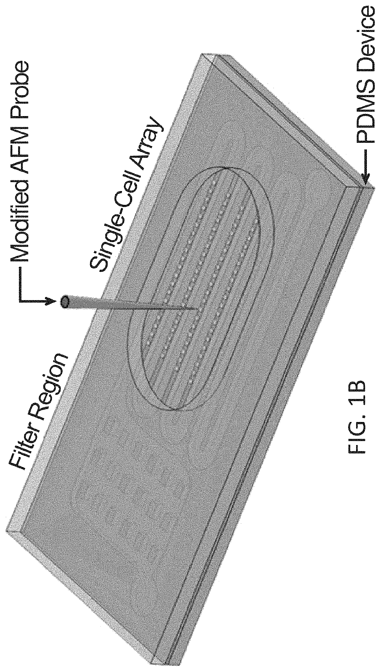 Integrated microfluidic platform for selective extraction of single-cell mRNA