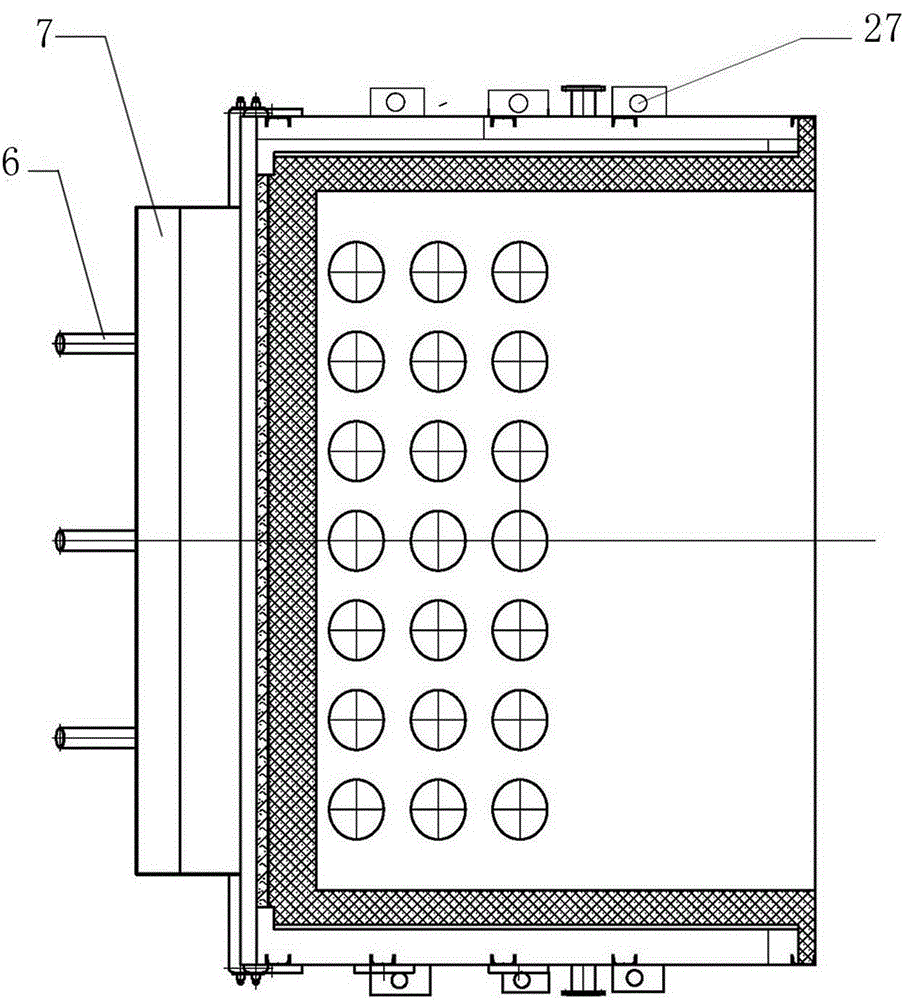 Biomass furnace and device for removing nitric oxide in same