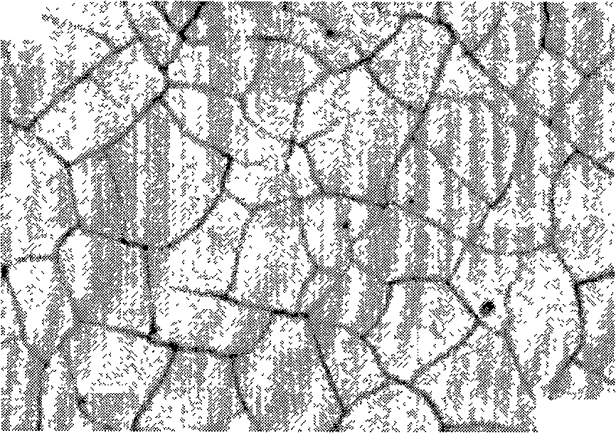 Method for clearly displaying low carbon low alloy steel austenite crystal