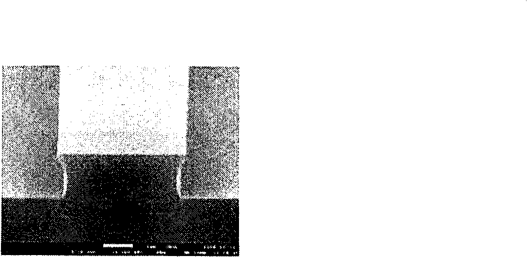 A photosensitive resin composition and a method forming a pattern using the same