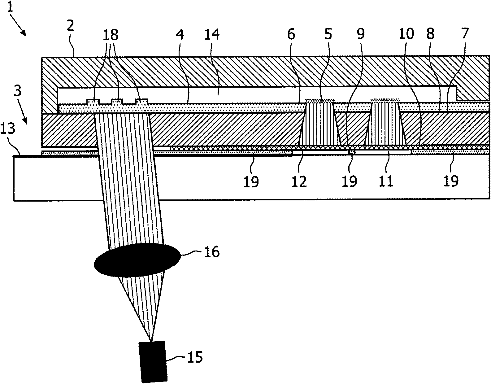 Biosensor with evanescent waveguide and integrated sensor