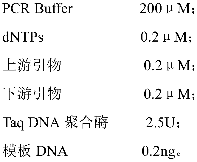 Method for preparing PCA3 (prostate cancer antigen 3) quantitative detection standard