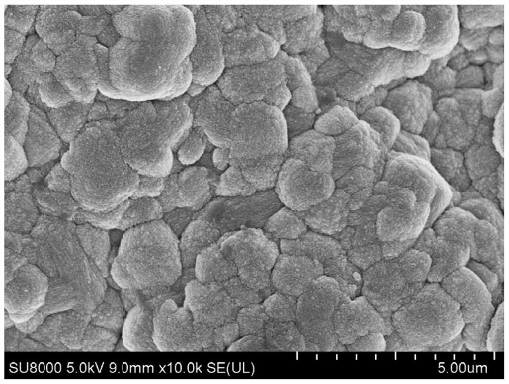 High-flux mordenite molecular sieve membrane as well as preparation method and application thereof