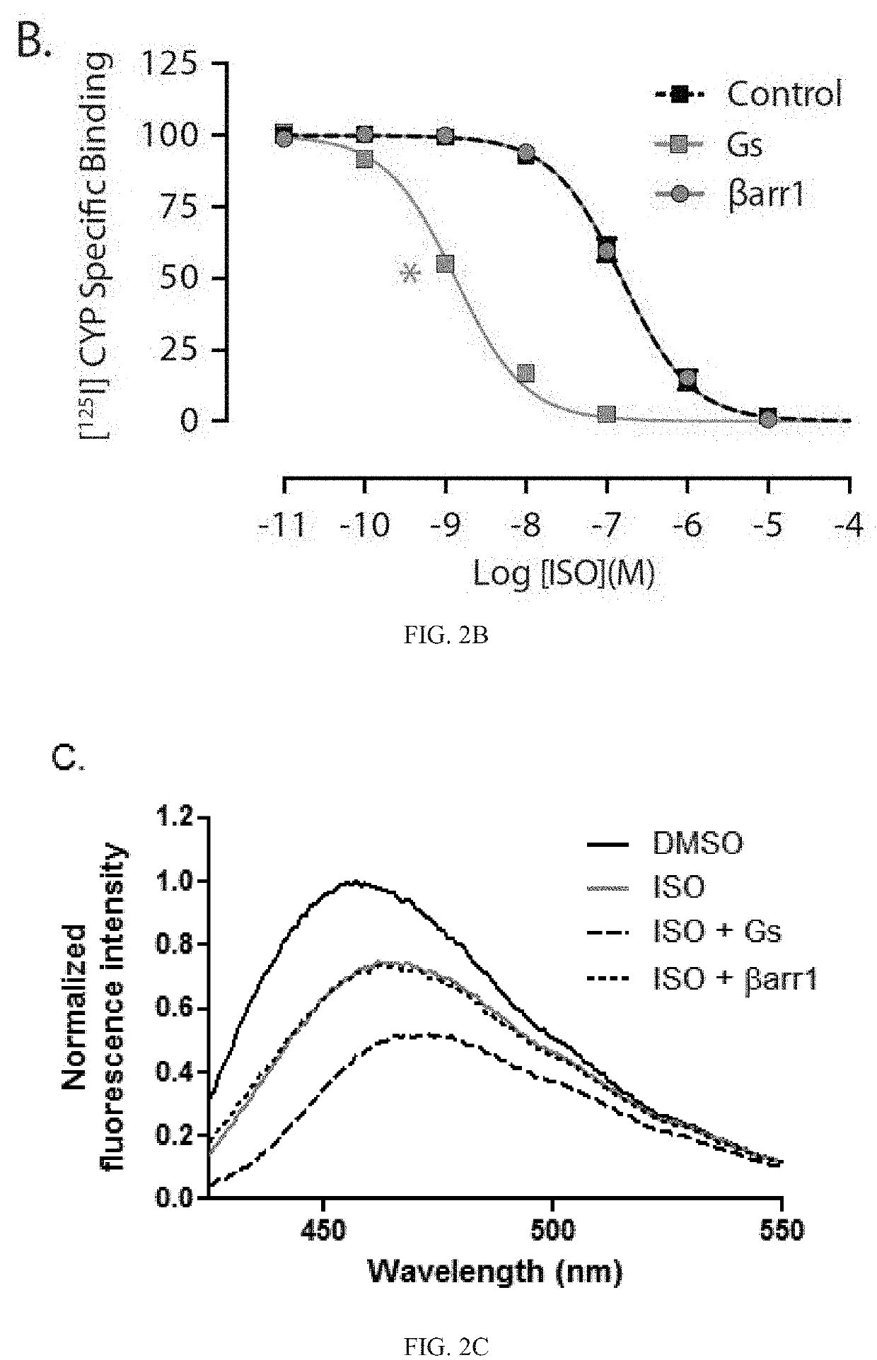 System and method for homogenous gpcr phosphorylation and identification of beta-2 adrenergic receptor positive allosteric modulators