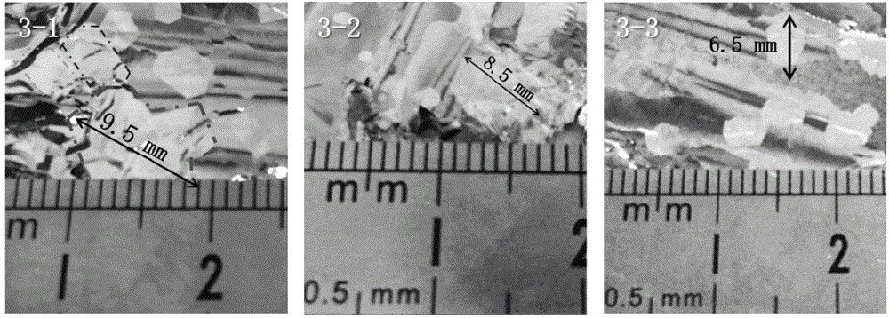 Large single crystal graphene and preparation method thereof