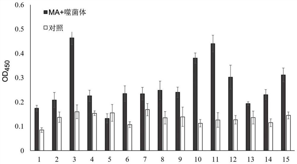 A polypeptide specifically binding to Mycobacterium tuberculosis, its encoding gene and application