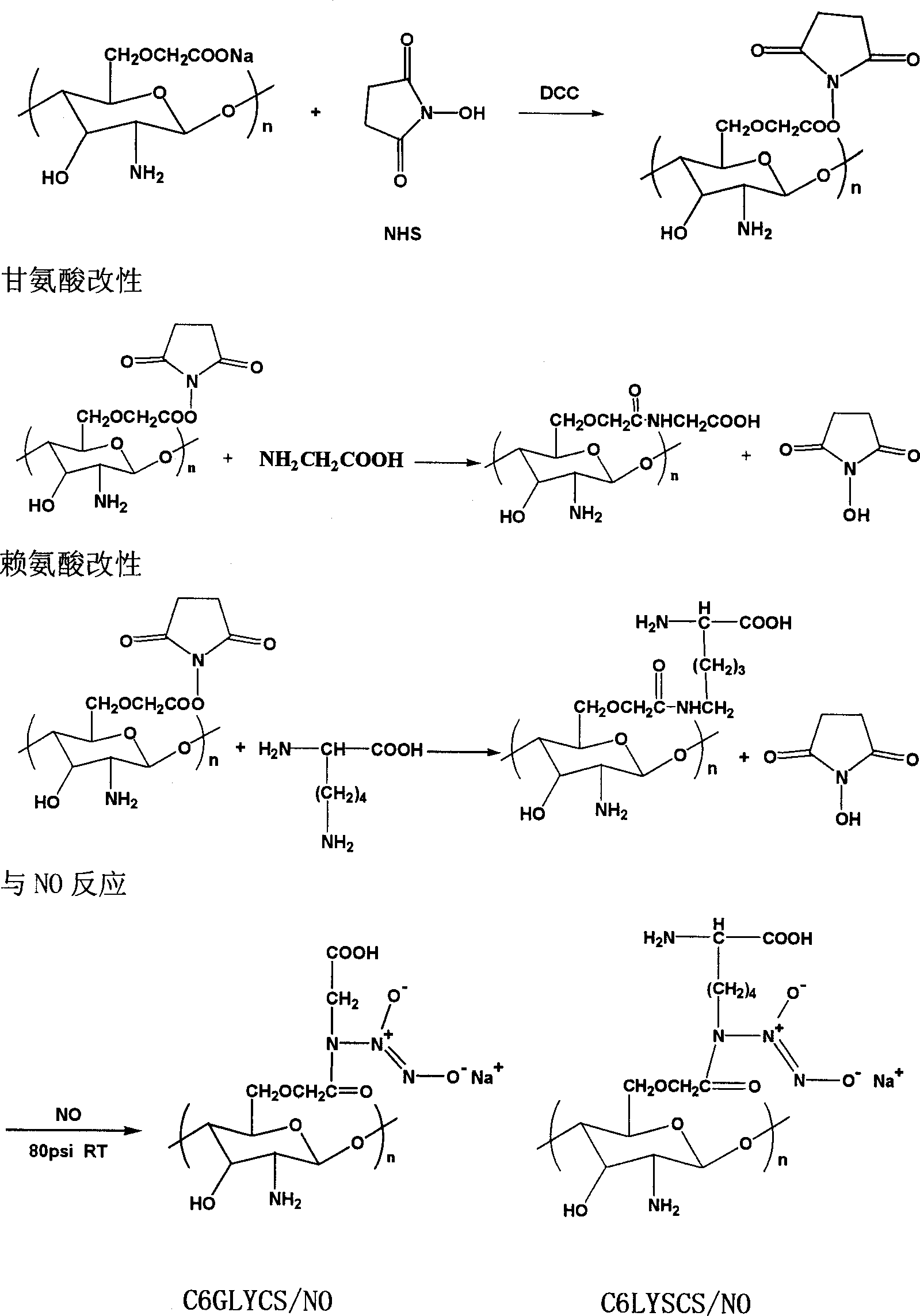 Amino-acid modified chitin nucleophic NO donor and its synthesis method